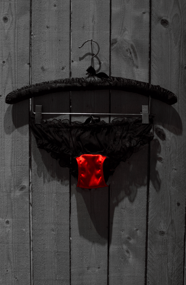 Satin Briefs
